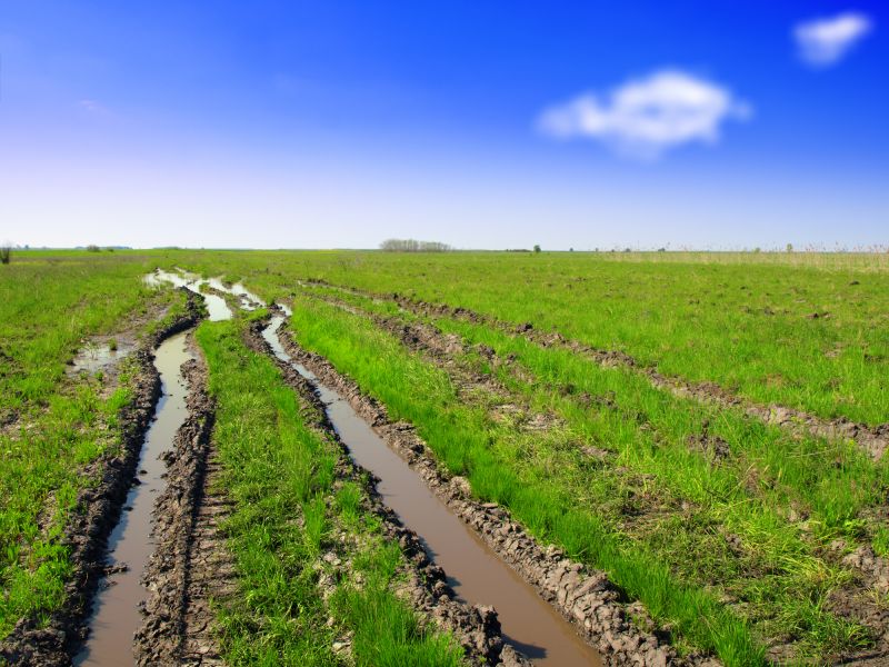 Weather Considerations